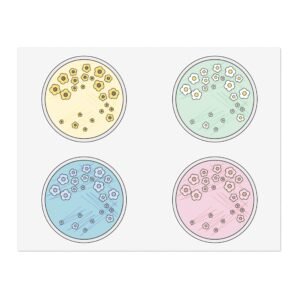 Flower Agar Sticker Sheet